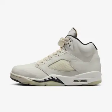 Air Jordan 5 Retro SE