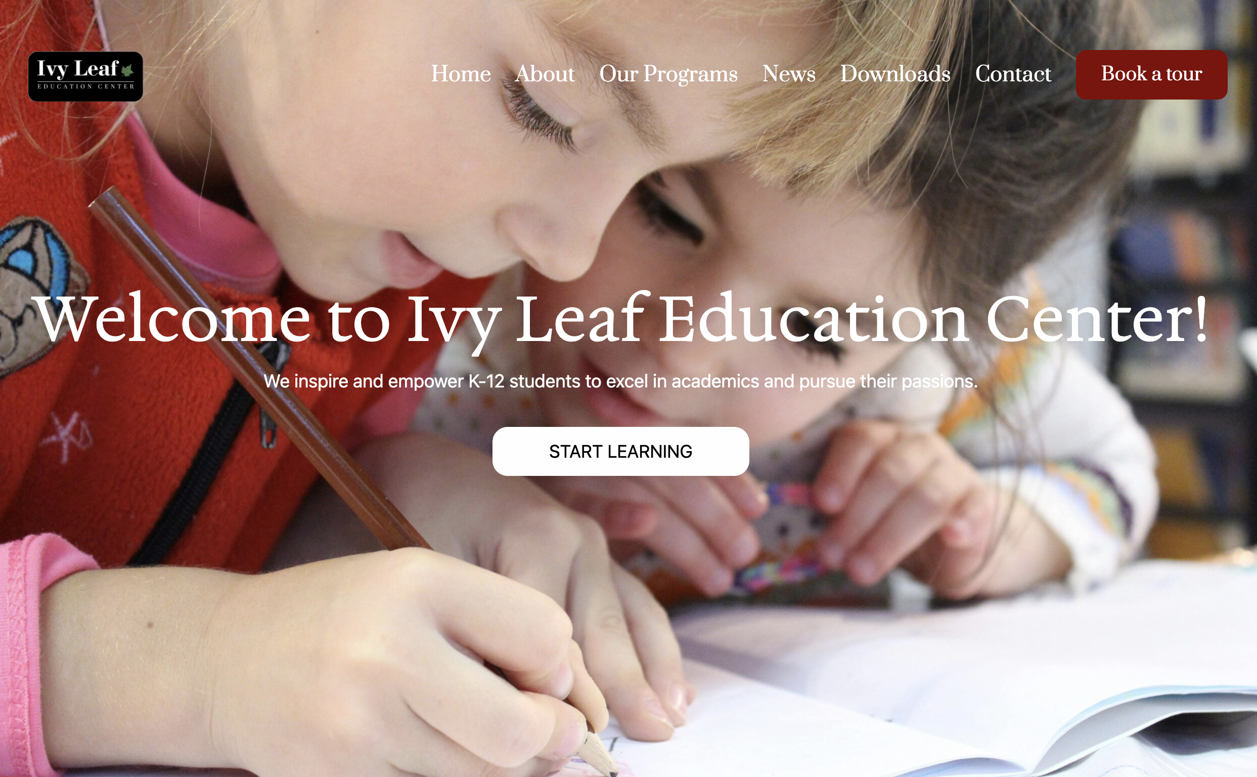 Picture of Ecommerce Website: Ivy Leaf Education Center LLC